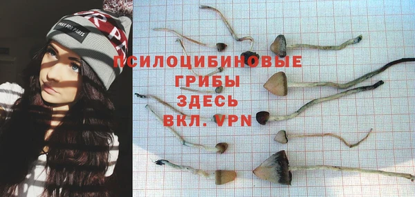 шишки Алзамай