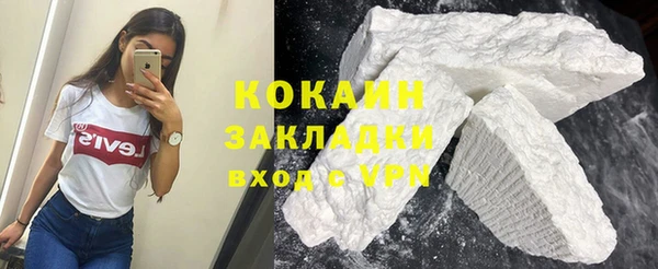 шишки Алзамай