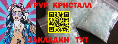 стаф Канаш