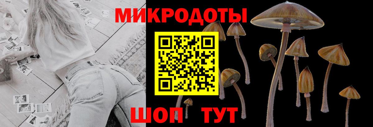 Нарткала  Галлюциногенные грибы Cubensis  Псилоцибиновые грибы MAGIC MUSHROOMS  Вход с VPN 